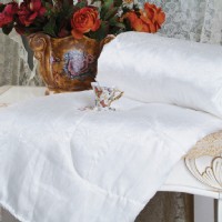 �߼��Q�z��