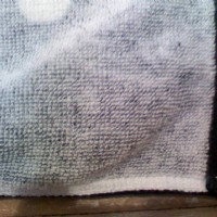 �����w�S�ɰl��