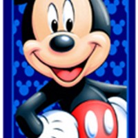 ����(x��)�w�Sӡ��ë��ԡ��