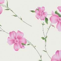 ���N������