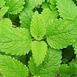 ���ɛ�ˬ���턩