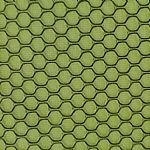 �����ξW��