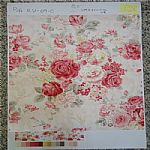 ȫ��Ⱦɫ��ӡ��