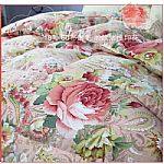 ȫ��Ⱦɫ��ӡ��