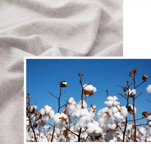 COMOLIVING�Ƴ��~������˯���������ߵ�����ęn