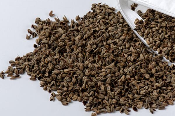 ��������Ȼ�����ߣ��ѻ��Ҽ��ĸ�ɽ���w������s�ߴ����﷦����