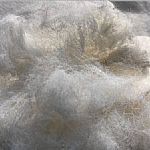 �Ϻ����D��ӡ�����]ӯ�����Ϻ����|Ů�b